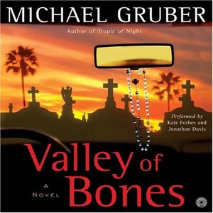 cover image of Valley of Bones
